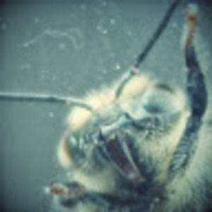 Meet your Posher, Shawna